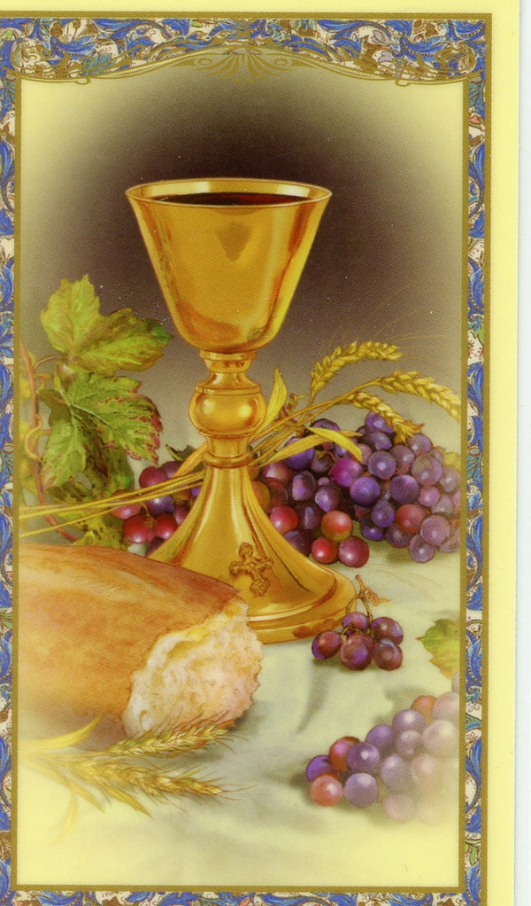 PRAYER BEFORE COMMUNION- LAMINATED HOLY CARDS- QUANTITY 25 PRAYER CARDS