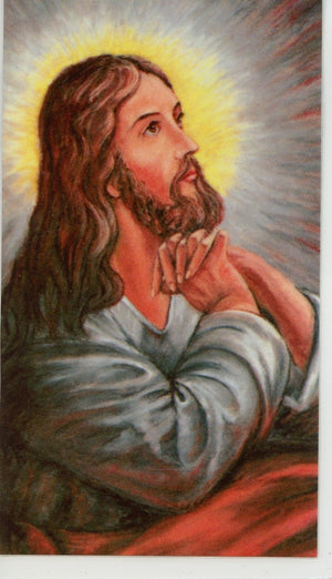 WWJD- LAMINATED HOLY CARDS- QUANTITY 25 PRAYER CARDS