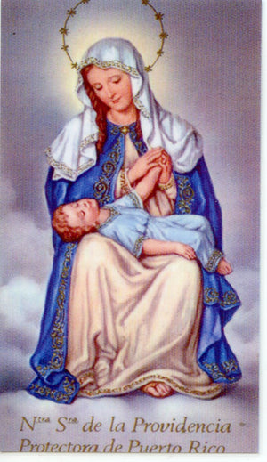 OUR LADY OF DIVINE PROVIDENCE - LAMINATED HOLY CARDS- QUANTITY 25 PRAYER CARDS