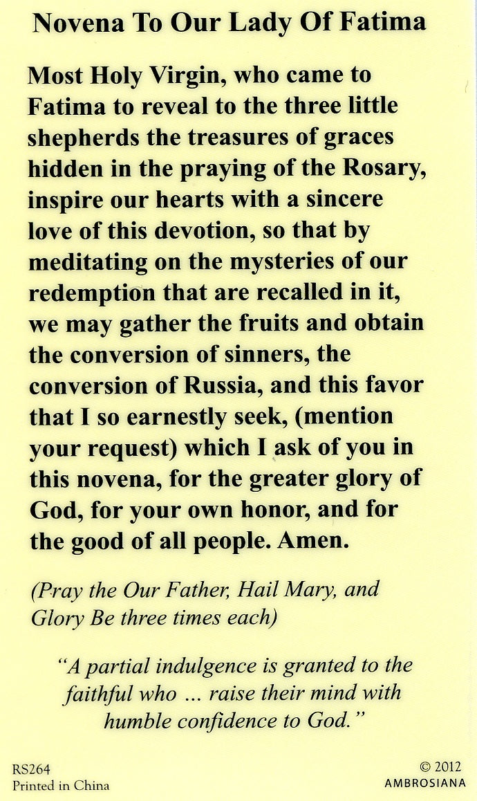 OUR LADY OF FATIMA - LAMINATED HOLY CARDS- QUANTITY 25 PRAYER CARDS ...