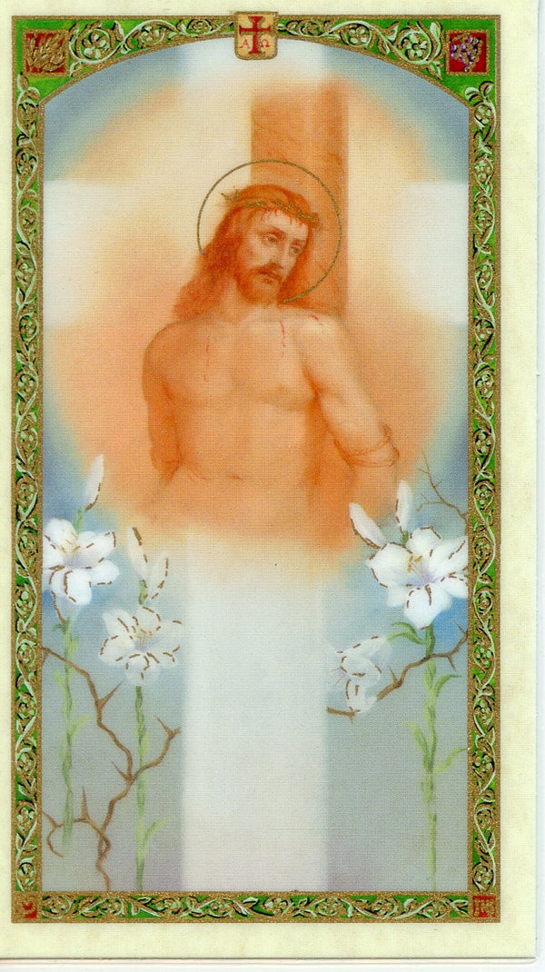 PASSION OF CHRIST- LAMINATED HOLY CARDS- QUANTITY 25 PRAYER CARDS