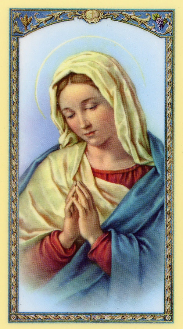 OUR LADY OF MENTAL PEACE- LAMINATED HOLY CARDS- QUANTITY 25 PRAYER CARDS