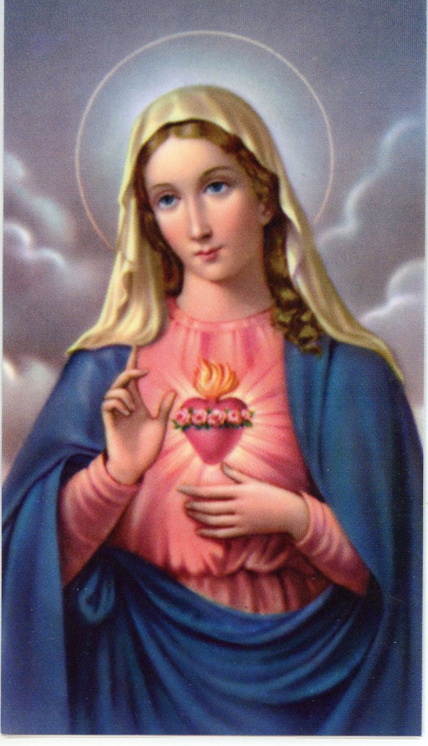 CONSECRATION TO MARY - LAMINATED HOLY CARDS- QUANTITY 25 PRAYER CARDS